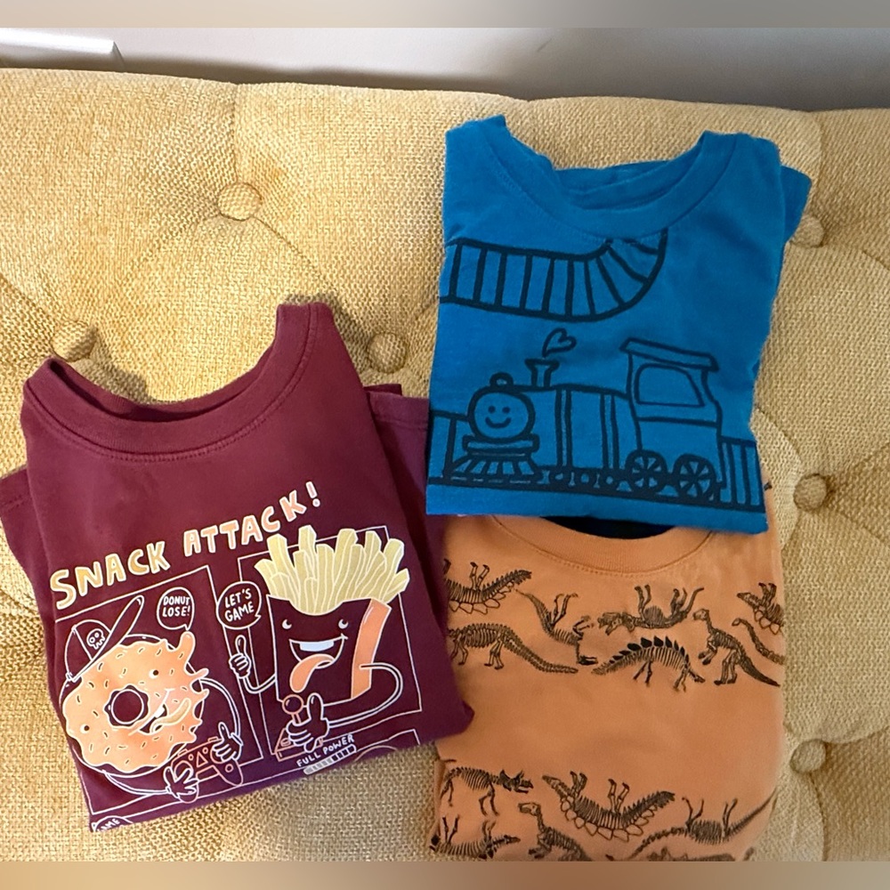 4t long sleeve shirt bundle